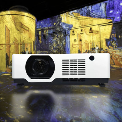 kopen High Contrast HDR Immersive Room Projector voor galeries en musea online vervaardiging